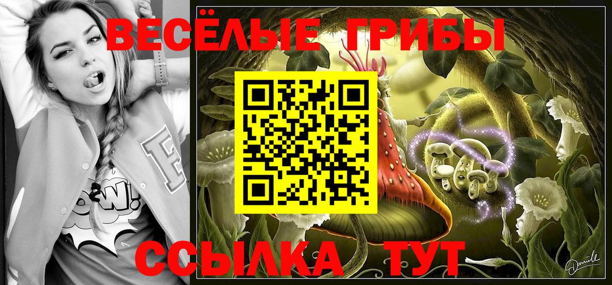 Солнечногорск  Псилоцибиновые грибы Psilocybe  Галлюциногенные грибы мицелий  Вход с VPN 