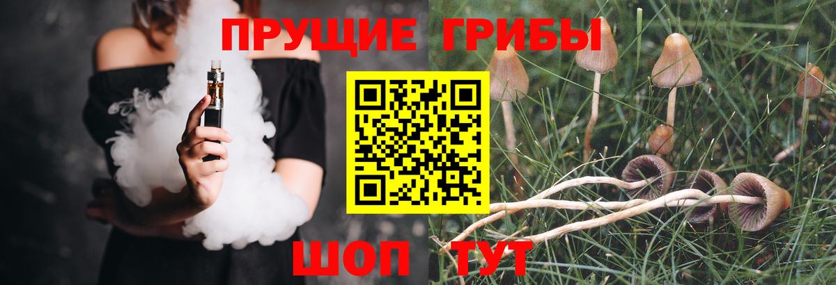 Псилоцибиновые грибы прущие грибы Солнечногорск